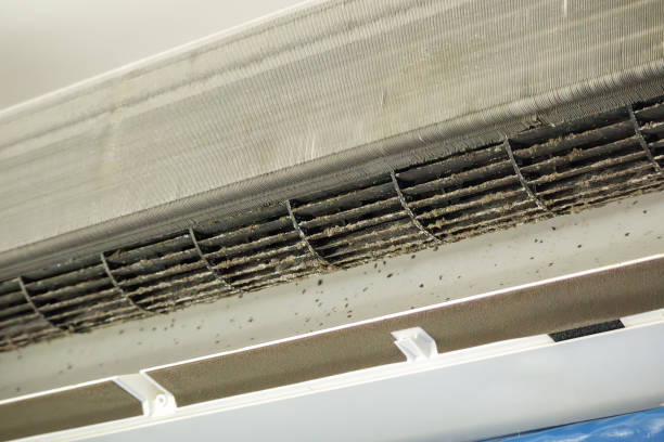 Best Affordable Duct Cleaning Services  in Marion, SC
